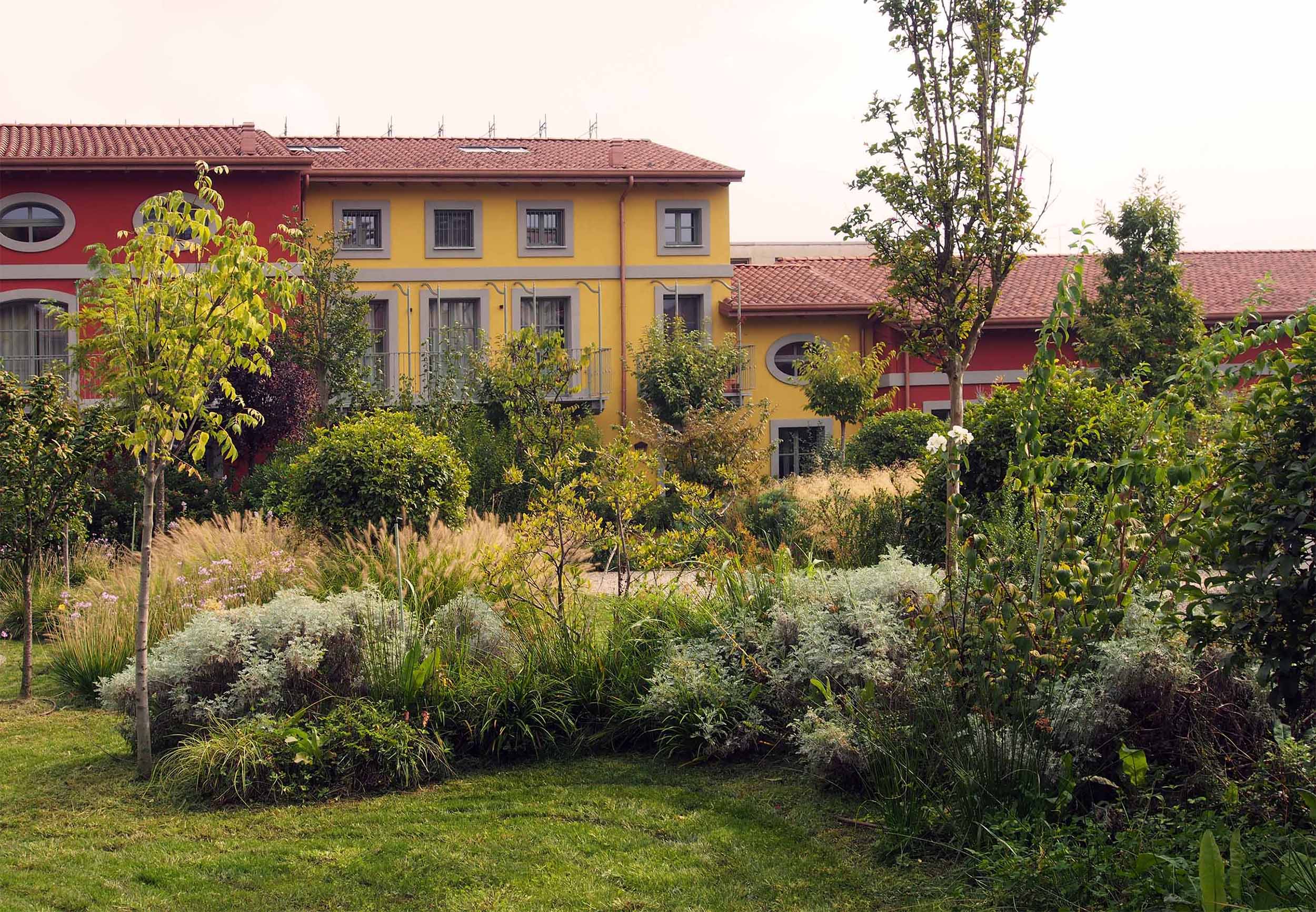 Forrest 20250909 (17).JPG