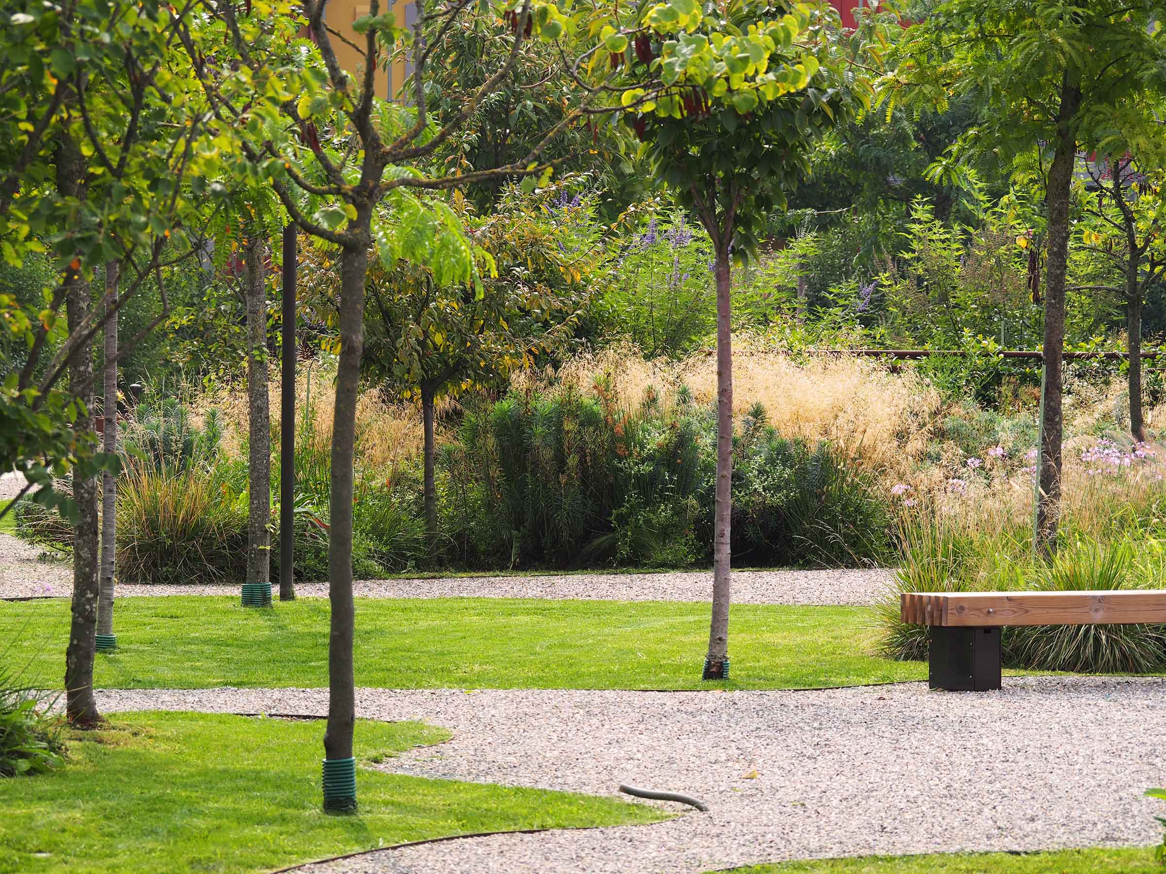 Forrest 20250909 (2).JPG