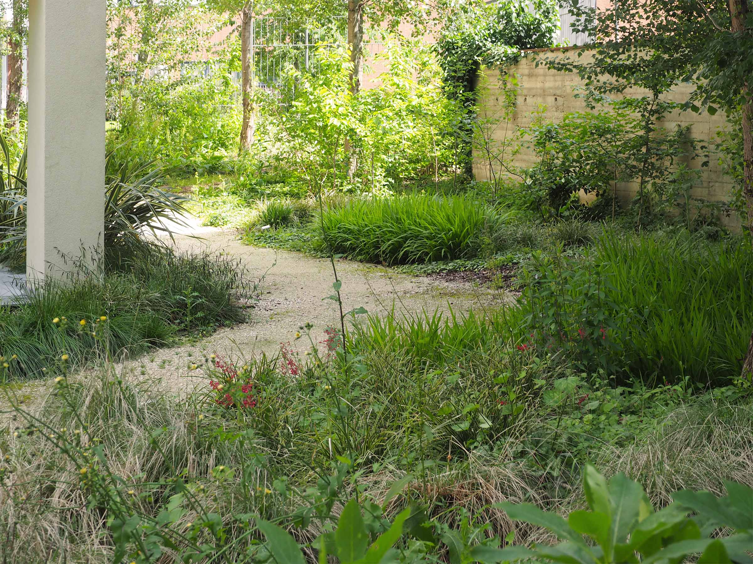 g311 20240517 (26)_low